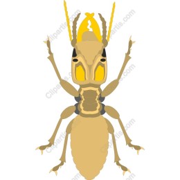 Whimsical Golden Insect