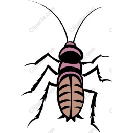 Stylized Cockroach