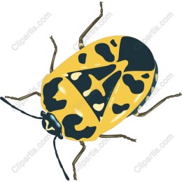 Vibrant Yellow and Black Beetle