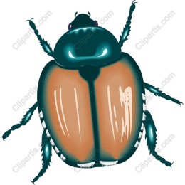 Vibrant Beetle