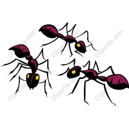 Vibrant Ant Clipart Set