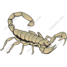 Scorpion