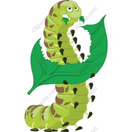 Playful Caterpillar