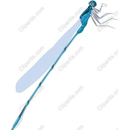 Vibrant Turquoise Dragonfly