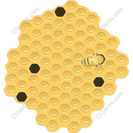 Honeycomb Delight