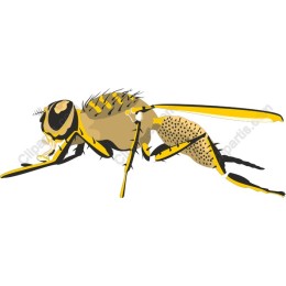 Hornet