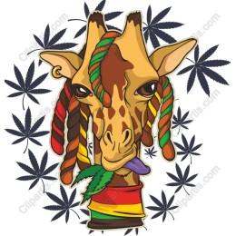 Rasta Giraffe
