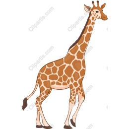 Playful Giraffe