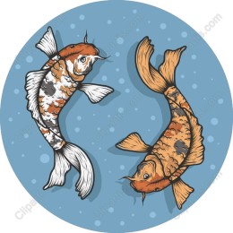 Elegant Koi Fish