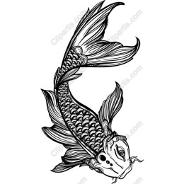 Koi Fish - Black and White