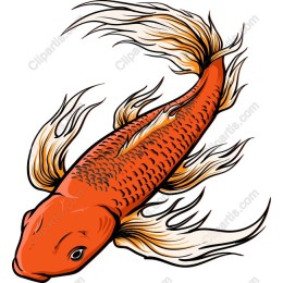 Goldfish