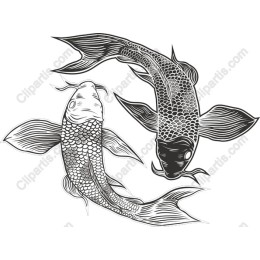 Koi Fish - Elegant Dual