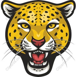 Fierce Leopard