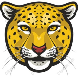 Vibrant Leopard
