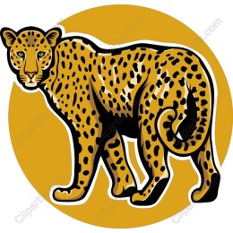 Majestic Leopard
