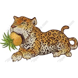 Leopard & Pineapple