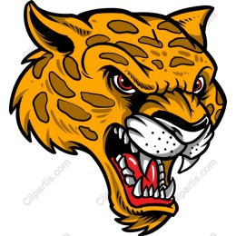 Fierce Leopard Head work