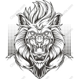 Majestic Lion Head