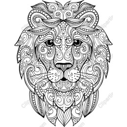 Intricate Lion Head