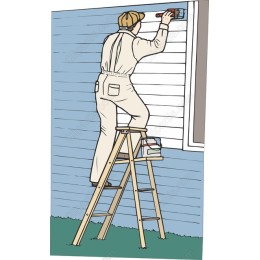 Expert Painter in Action