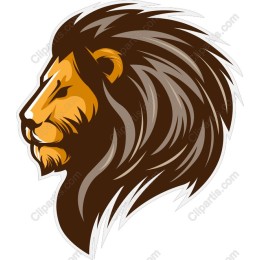 Majestic Lion Head