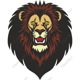 Majestic Lion Head