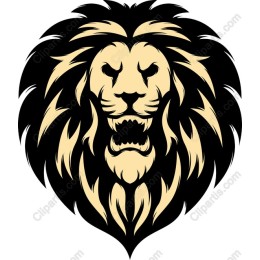Majestic Lion Head