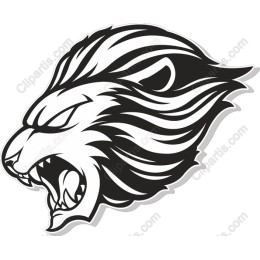 Fierce Lion's Head