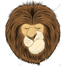 Majestic Lion Head