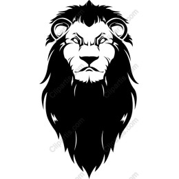 Majestic Lion Head