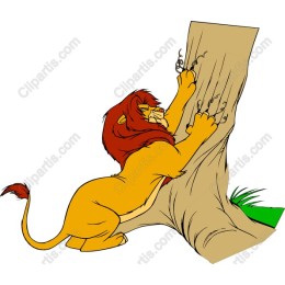 Majestic Lion