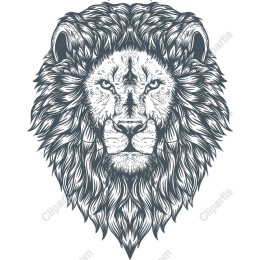 Majestic Lion Head