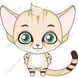Cute Playful Cat
