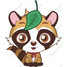 Cute Raccoon