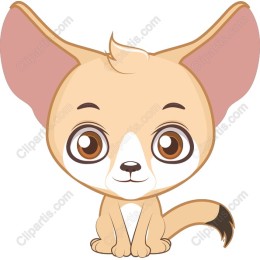 Adorable Fennec Fox