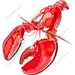 Vibrant Lobster