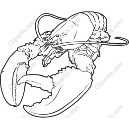Lobster