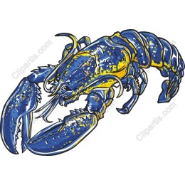 Lobster