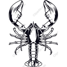 Lobster
