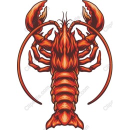 Stylized Lobster