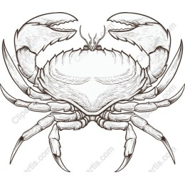 Crab