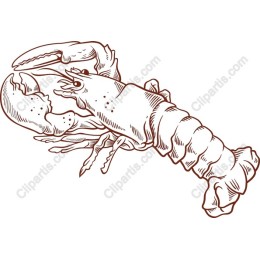 Lobster - Premium