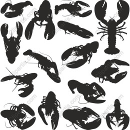 Lobster Pack