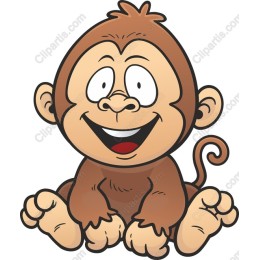 Cheerful Baby Monkey