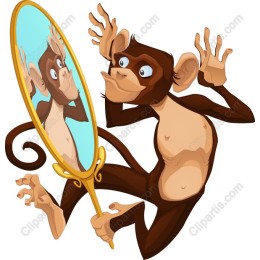 Playful Monkey Reflecting