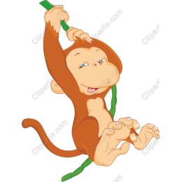 Playful Monkey