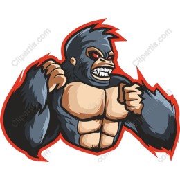 Powerful Muscular Gorilla