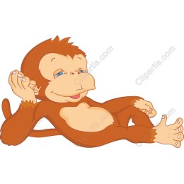 Playful Relaxed Monkey