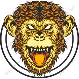 Angry Monkey