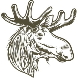 Majestic Moose Head